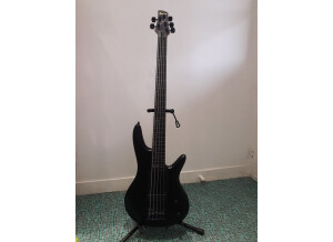Ibanez GWB35 (37378)