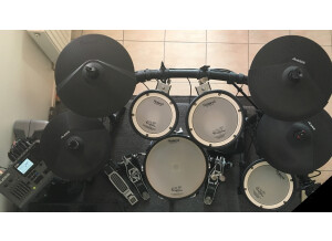 Alesis DM10 CUSTOM