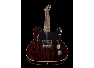 Harley Benton TE-70 Rosewood (14309)