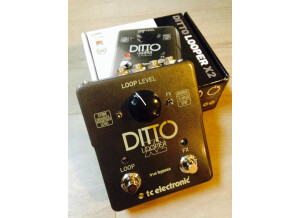 TC Electronic Ditto X2 (79005)