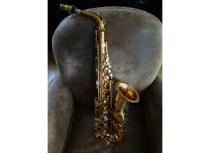 Saxo Selmer Reference 54 (8).JPG