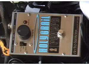 Electro-Harmonix Holy Grail (85486)