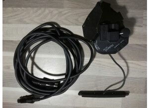 Roland GR-55GK (76313)