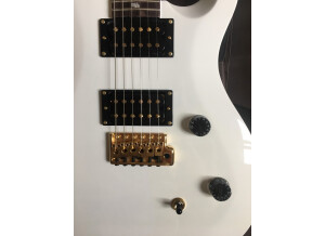 PRS SE Dave Navarro - Jet White (94842)