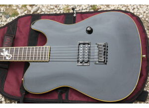 Fender Special Edition Esquire Custom Scorpion (85560)