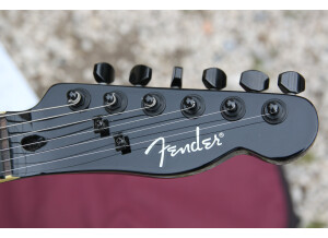 Fender Special Edition Esquire Custom Scorpion