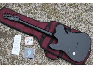 Fender Special Edition Esquire Custom Scorpion (71812)