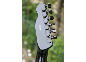 Fender Special Edition Esquire Custom Scorpion (32771)