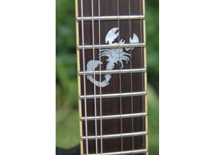 Fender Special Edition Esquire Custom Scorpion (93409)