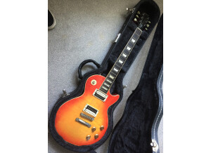 Gibson Les Paul Standard Faded '50s Neck (649)