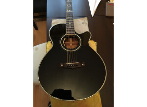 Tanglewood TW49 BK DLX B (99207)
