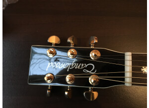 Tanglewood TW49 BK DLX B (57267)