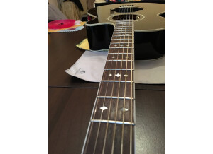 Tanglewood TW49 BK DLX B (83333)