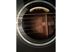 Tanglewood TW49 BK DLX B (26368)