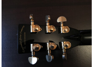 Tanglewood TW49 BK DLX B (61939)