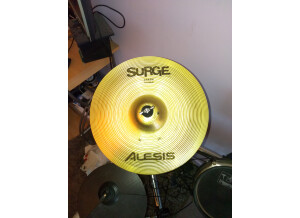 Alesis Surge 13 Cymbal (27986)