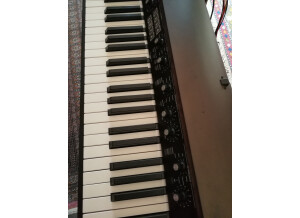 Korg SV-1 88 (11264)