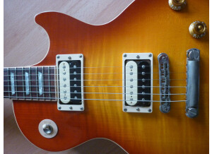 Gibson Les Paul Series - Les Paul Standard 60 (70345)