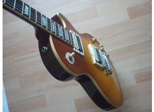 Gibson Les Paul Series - Les Paul Standard 60 (37364)