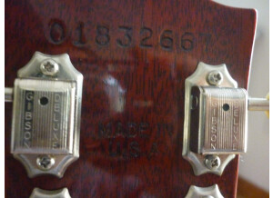 Gibson Les Paul Series - Les Paul Standard 60 (61138)