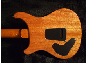PRS P22 Trampas Green (98904)
