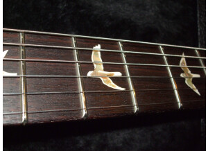 PRS P22 Trampas Green (87301)