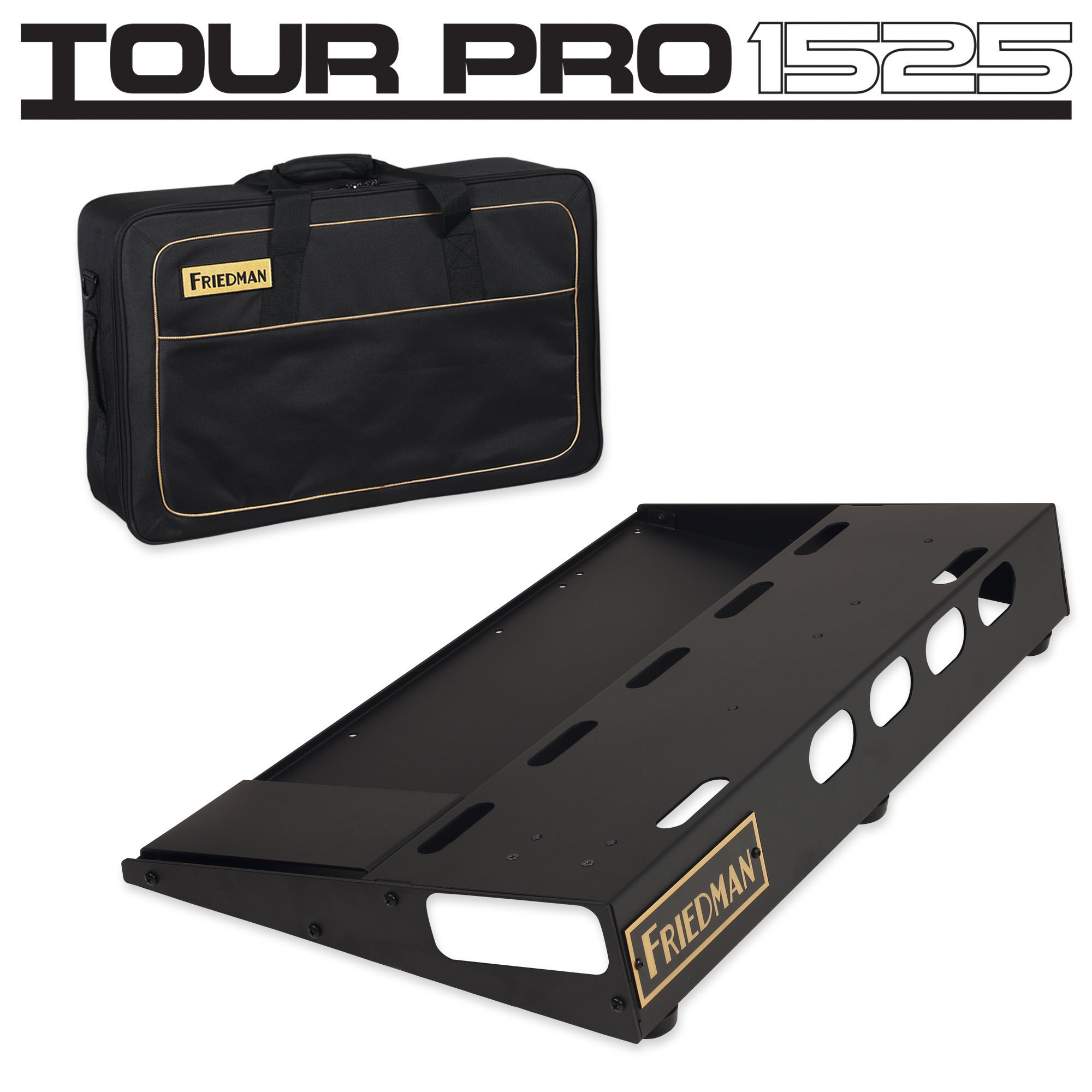 Friedman Amplification Tour Pro 1525 : Friedman Amplification Tour Pro 1525 (89209)