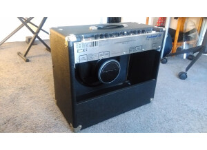 Tech 21 Trademark 60 1x12 (44116)