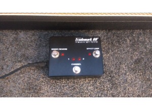 Tech 21 Trademark 60 1x12 (69344)