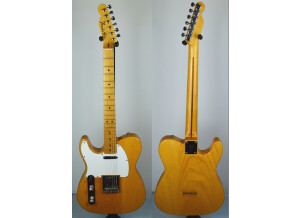 Fender TL71 (95862)