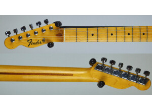 Fender TL71 (89391)
