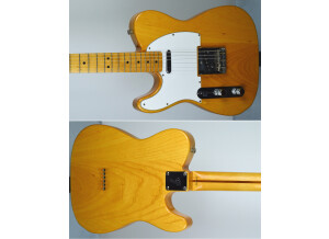 Fender TL71 (44697)