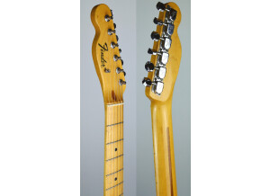 Fender TL71 (16054)