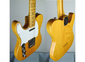 Fender TL71 (46517)