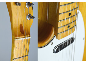 Fender TL71 (47573)