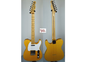 Fender TL71 (71810)