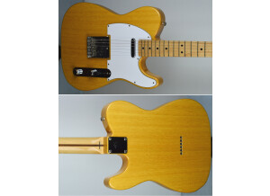 Fender TL71 (87351)