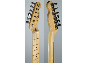 Fender TL71 (50787)