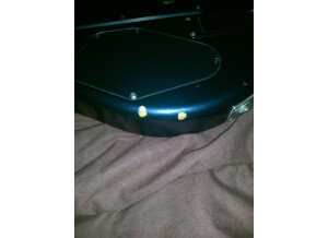 578564 4166664437215 217761527 n