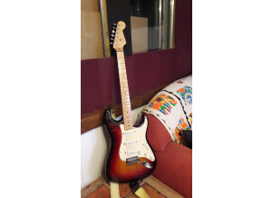 Fender Standard Stratocaster [1990-2005] (39675)