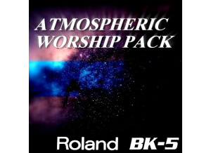 Roland BK-5 (65198)