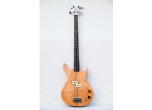 Fender Bassman Pro Bassman 810 Neo (53894)