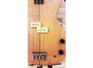 Fender Bassman Pro Bassman 810 Neo (8872)