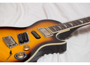 epiphone nighthawk custom 1902022