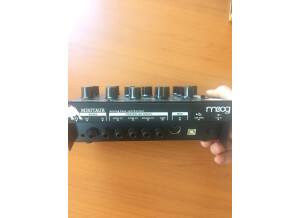 Moog Music Minitaur (25456)
