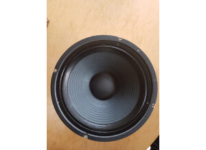 Mesa Boogie Black Shadow C90 (30667)