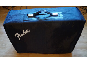Fender '65 Deluxe Reverb [1993-Current] (79684)