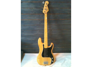 Fender Precision Bass (1976) (12163)