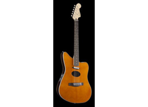 Fender JZM Deluxe (91383)