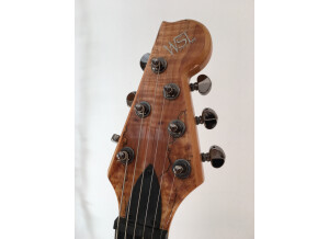 guitare 13.02.2016 009.JPG